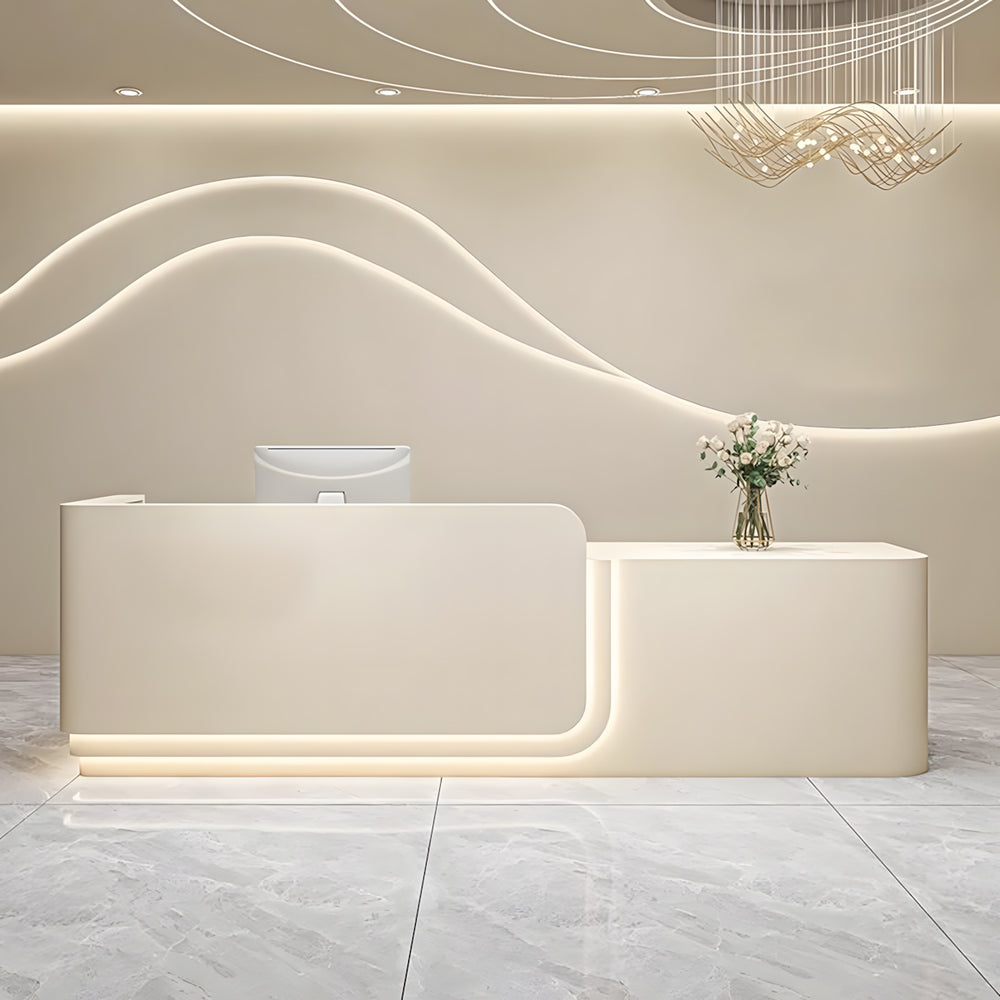 Minimalist Beauty Salon Reception Desk with LED Light